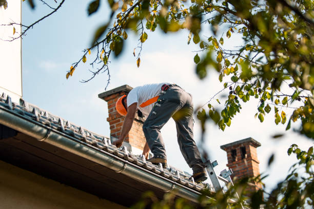 Best Roof Maintenance Services  in Roaming Shores, OH