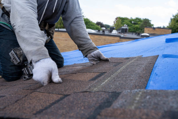 Best Metal Roofing Contractor  in Roaming Shores, OH
